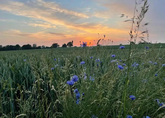 In For 3 Personen 아파트