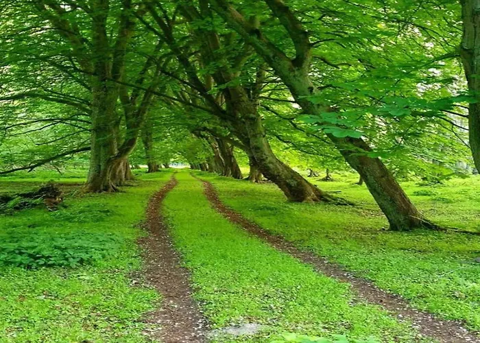 In For 3 Personen 볼텐하겐