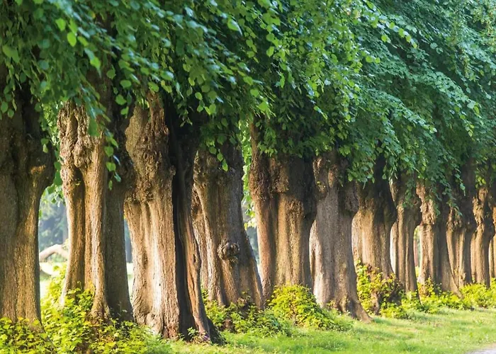 In For 3 Personen 아파트 *